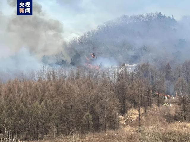 辽宁火灾危险程度，辽宁本溪、抚顺发生山火