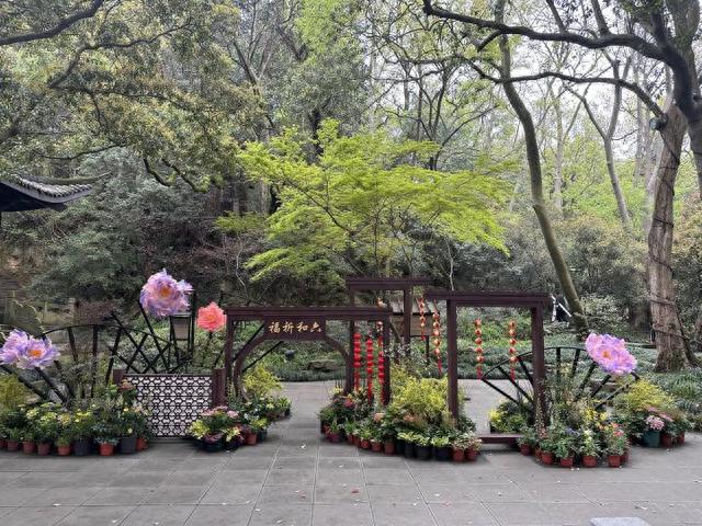 又到牡丹盛花期 杭州六和塔赏花乐游攻略请收好！