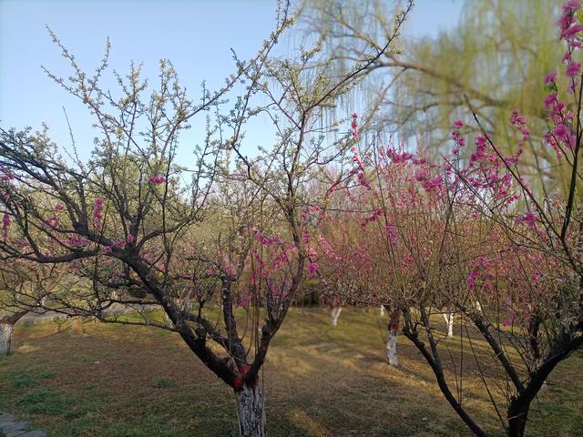 许昌有什么好玩的景点，许昌有哪些景点值得去玩（七律-游许昌）