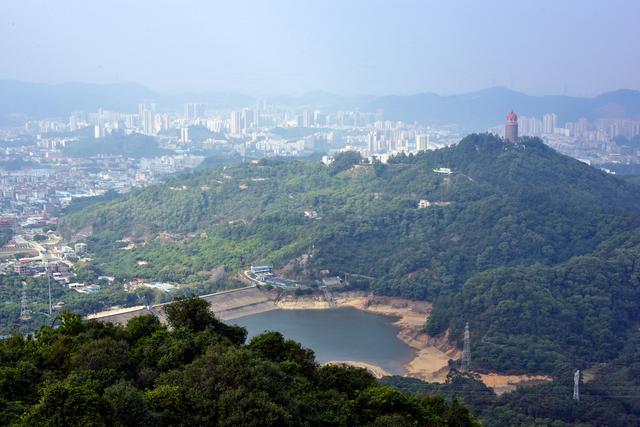 观音山森林公园，观音山国家森林公园旅游官网（广东观音山打造民营国家级森林公园样本）