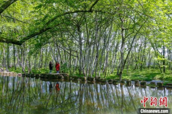 黄山属于安徽哪个市，安徽黄山：生态旅游春意浓