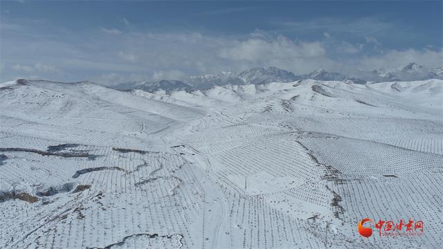 一夜春雪润天祝 祁连山脉白茫茫