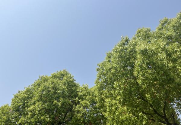 梅雨天什么时间，夏天就这么来了？下周还有转折