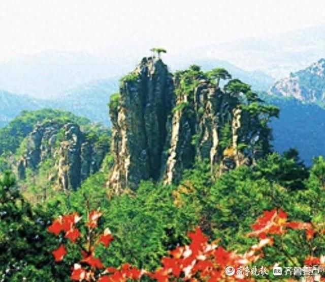 我的家乡沂蒙山