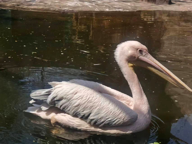 沈阳棋盘山风景区，沈阳棋盘山周边景区（有景有趣有文化）