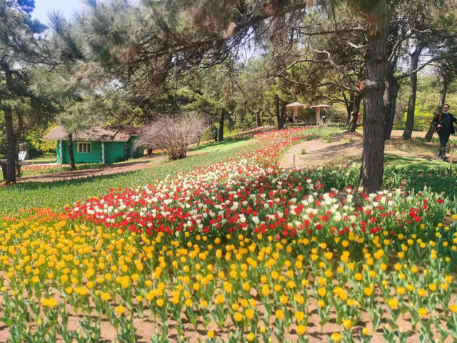 沈阳棋盘山风景区，沈阳棋盘山周边景区（有景有趣有文化）