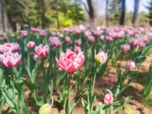 沈阳棋盘山风景区，沈阳棋盘山周边景区（有景有趣有文化）