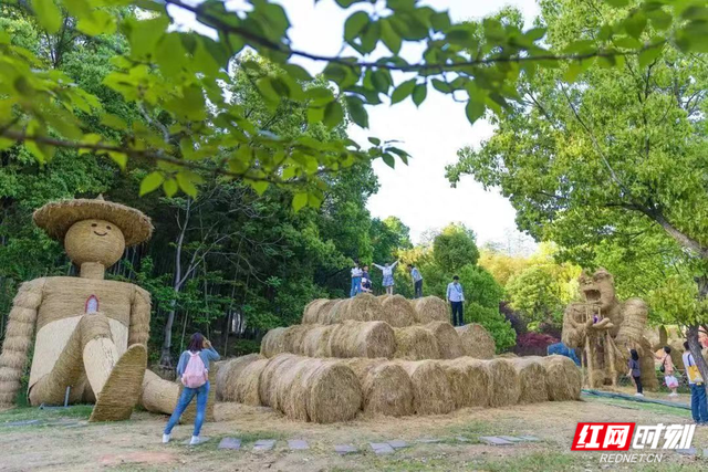 巨型稻草、萌宠乐园、帐篷露营 去长沙石燕湖过欢乐“五一”