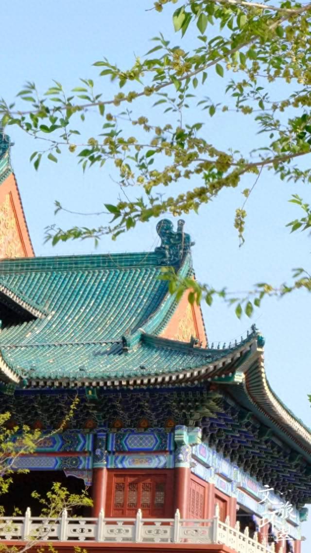 登高祈福，总要去趟仙姑顶！