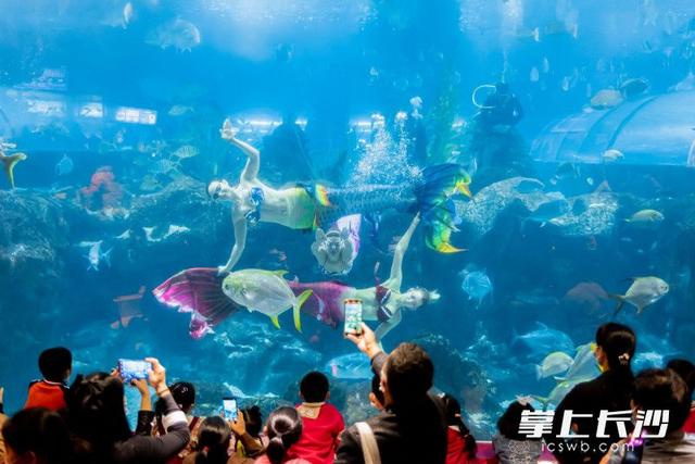 组图｜长沙海底世界：假期最后一天游客仍纷至沓来