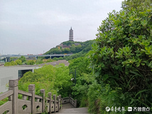 青未了丨招宝山一日游