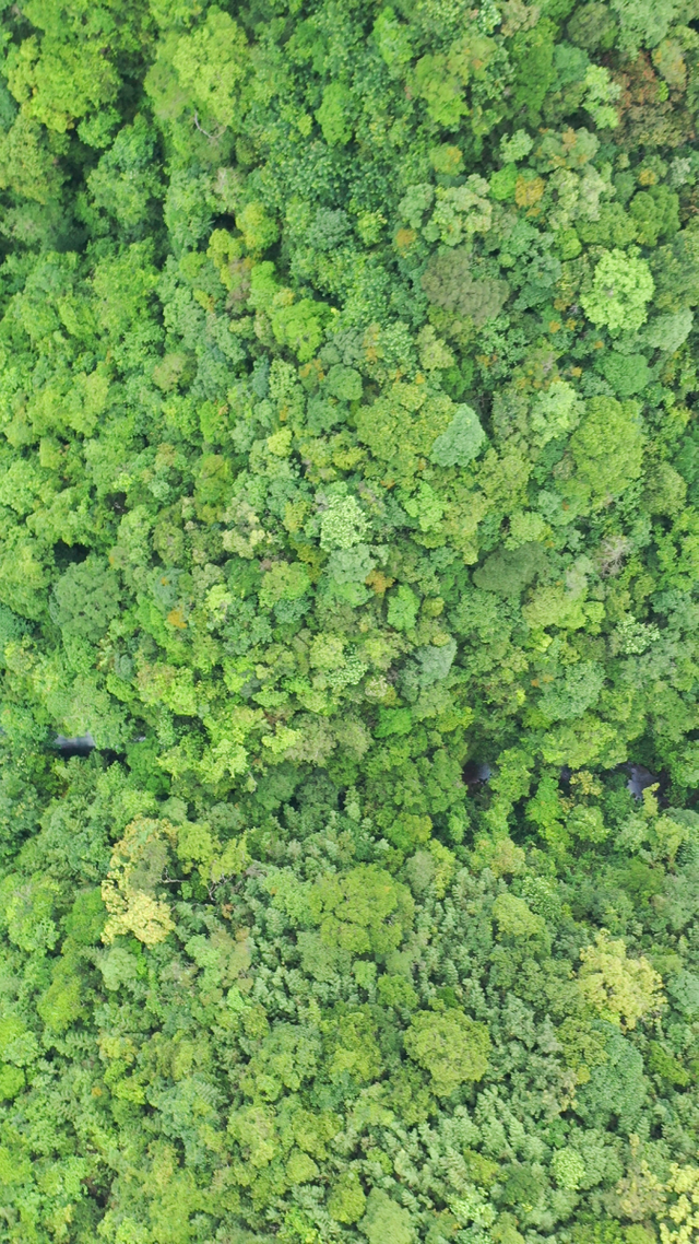 夏天去哪里旅游，夏天适合去哪里旅游避暑的地方（这些消暑纳凉地请收藏好）
