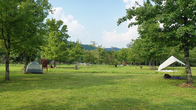 夏天去哪里旅游，夏天适合去哪里旅游避暑的地方（这些消暑纳凉地请收藏好）