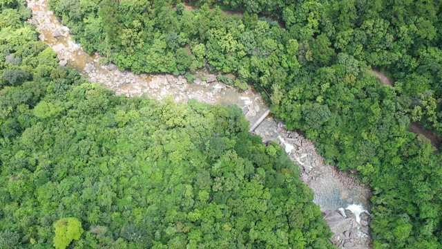 夏天去哪里旅游，夏天适合去哪里旅游避暑的地方（这些消暑纳凉地请收藏好）
