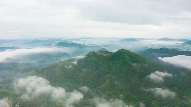 夏天去哪里旅游，夏天适合去哪里旅游避暑的地方（这些消暑纳凉地请收藏好）