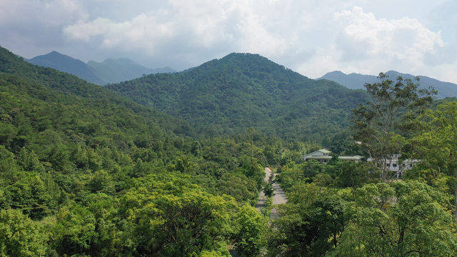 夏天去哪里旅游，夏天适合去哪里旅游避暑的地方（这些消暑纳凉地请收藏好）