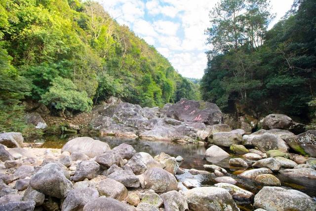 夏天去哪里旅游，夏天适合去哪里旅游避暑的地方（这些消暑纳凉地请收藏好）