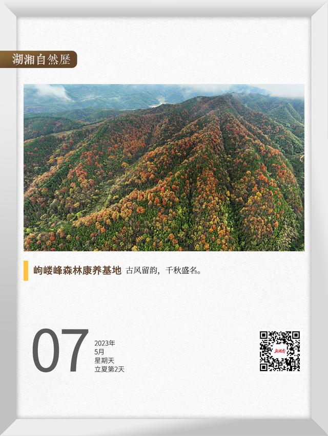 湖湘自然历 | 复得返自然⑦你猜，这是不是“鬼画符”