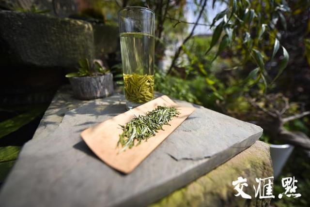 南京雨花茶的功效，南京雨花茶：沁人肺腑