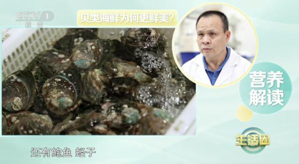 贻贝的功效与作用，它被誉为“天下第一鲜”