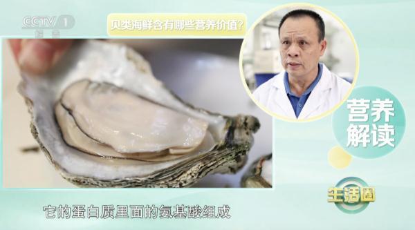 贻贝的功效与作用，它被誉为“天下第一鲜”