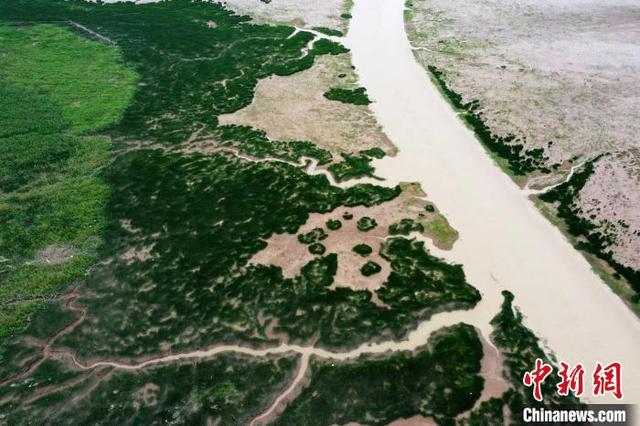 探访国际重要湿地——福州闽江河口湿地