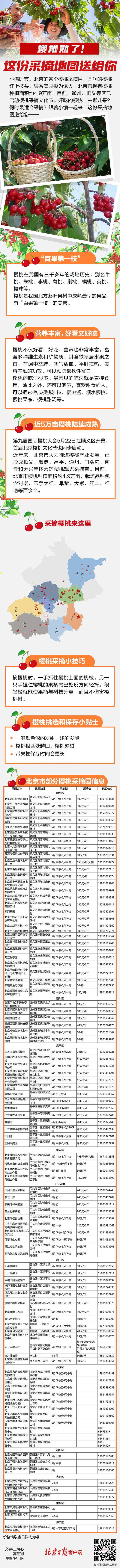 北京的樱桃熟了！去哪儿摘？何时摘？这份采摘地图送给您