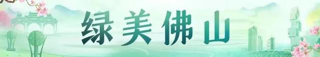 一家老少去哪玩？佛山20个高颜值湖泊任你选