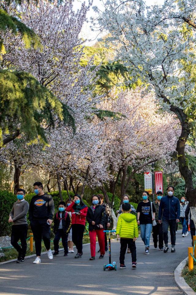 厦门市旅游景点，厦门能成为网红城市吗