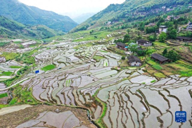 福建尤溪：联合梯田重焕生机