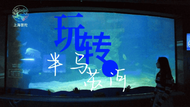 玩转半马苏河丨收下这份来自大海的治愈力量