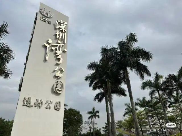 深圳湾公园地铁站，深圳湾公园地铁站开了吗（在深圳看海，坐地铁去就行了）