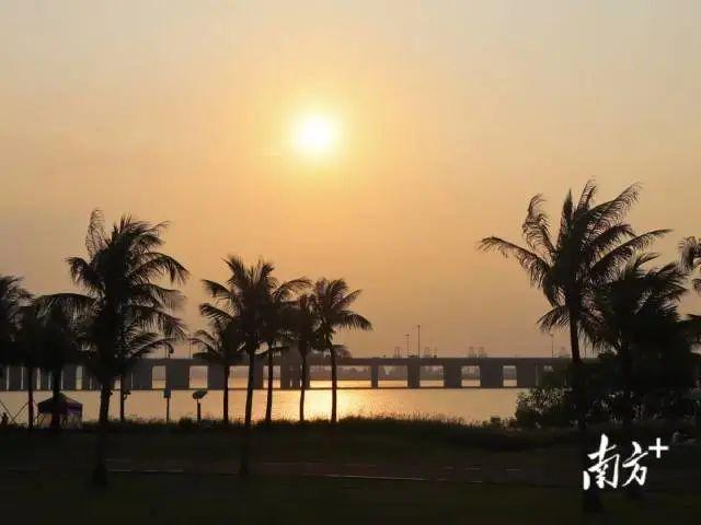 深圳湾公园地铁站，深圳湾公园地铁站开了吗（在深圳看海，坐地铁去就行了）