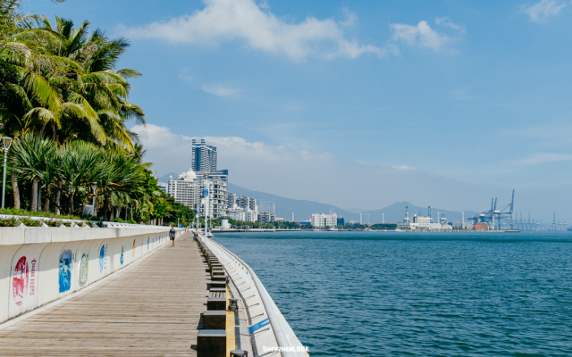 深圳湾公园地铁站，深圳湾公园地铁站开了吗（在深圳看海，坐地铁去就行了）