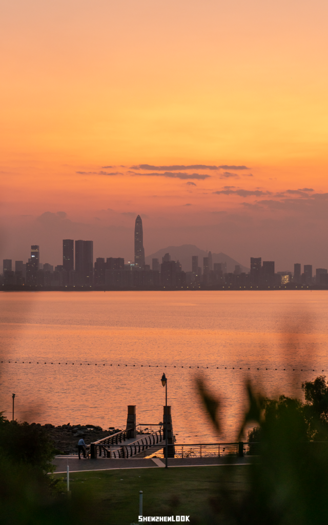 深圳湾公园地铁站，深圳湾公园地铁站开了吗（在深圳看海，坐地铁去就行了）