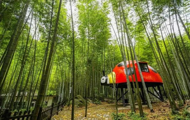 重庆市永川周边旅游景点大全，永川有这些“遛娃”宝地