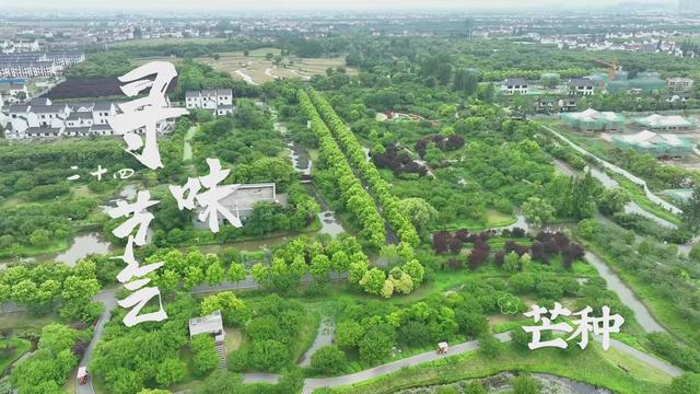 芒种是什么季节，芒种是哪个季节的节气（寻味二十四节气：芒种）