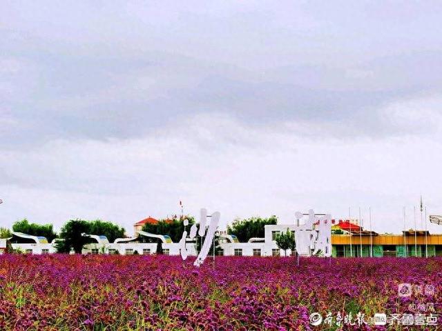 沙湖之魅：沙湖和白沙湖