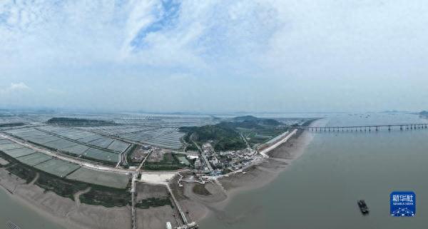 “千万工程”调研行丨浙江三门：蛇蟠岛上谱新篇