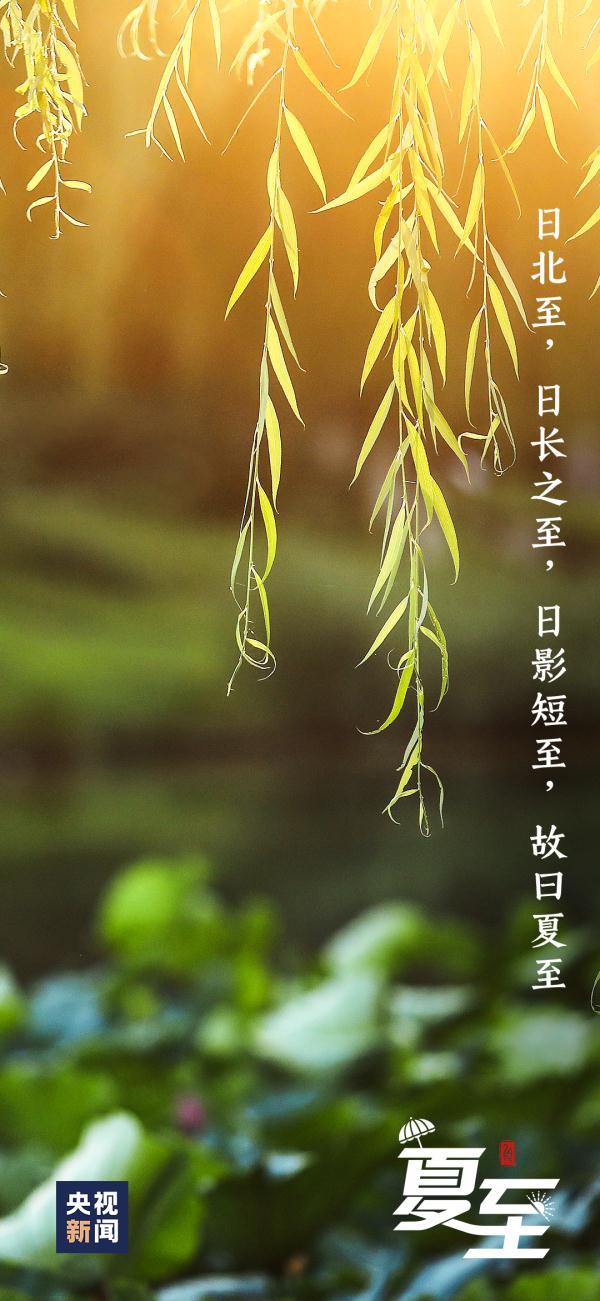 夏至是什么季节的节气，今日，夏至