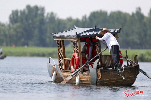 安新白洋淀景区旅游热