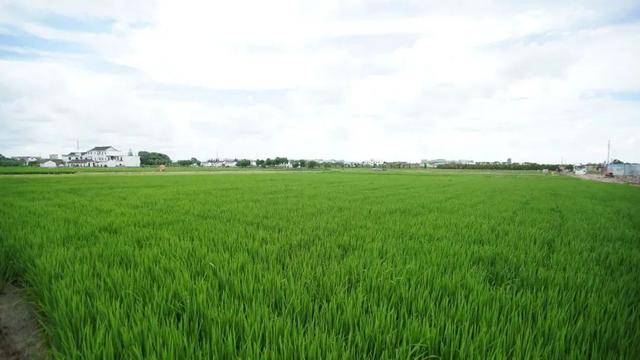 全域土地综合整治，全域土地综合整治基本原则（全域土地综合整治——优化三生空间格局）