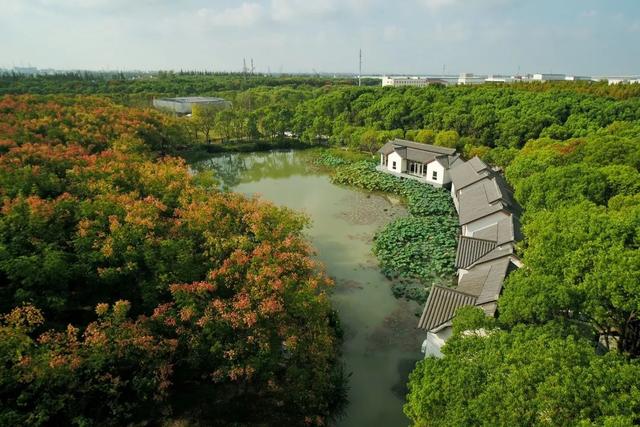 全域土地综合整治，全域土地综合整治基本原则（全域土地综合整治——优化三生空间格局）