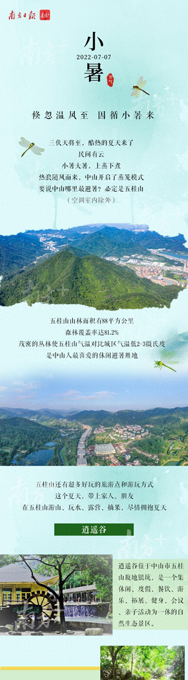 小暑觅清凉，五桂山避暑攻略来了｜中山廿四节气
