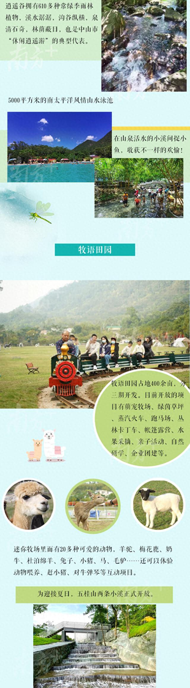 小暑觅清凉，五桂山避暑攻略来了｜中山廿四节气