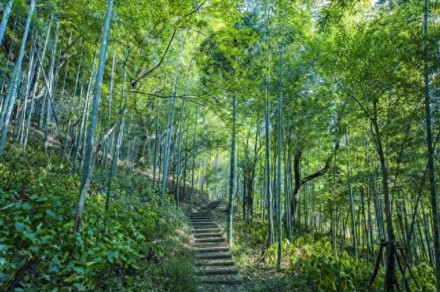 松江佘山景点，上海唯一的自然山林胜地佘山