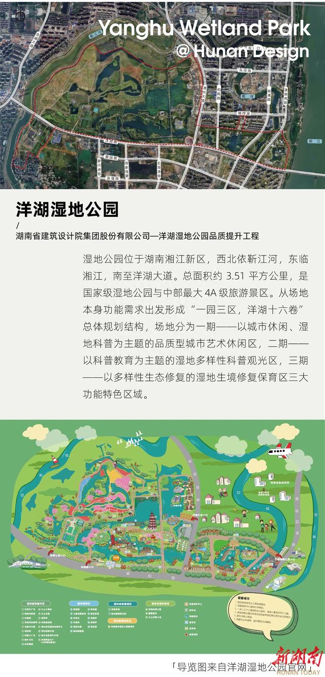 来洋湖湿地公园吧，开启一场生态与艺术交织的夏日奇遇