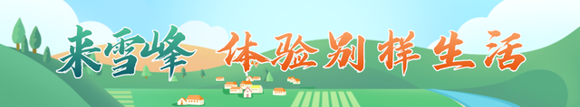 避暑，等风来，不如去雪峰
