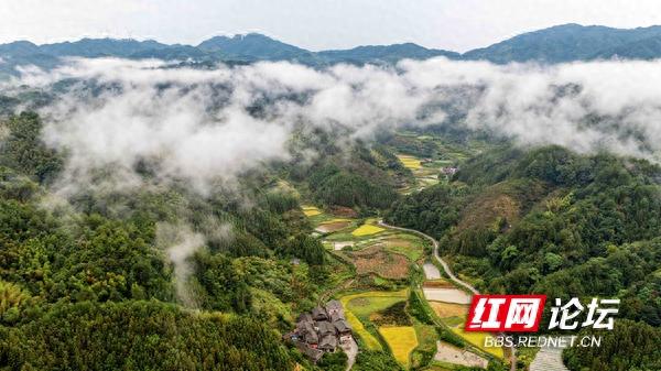 向云端看什么？在通道：半晴半雨过后，侗寨青山烟雨中