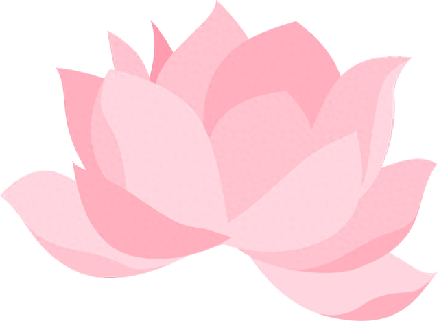 学历史探古迹，山师附小一（4）中队蓝天小队寻访大明湖